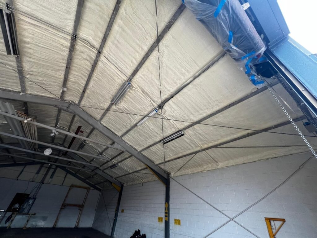 whatsapp-image-2024-10-05-at-21.11.52_cc9a1c39-m6LZrzEDWOIPVrwx